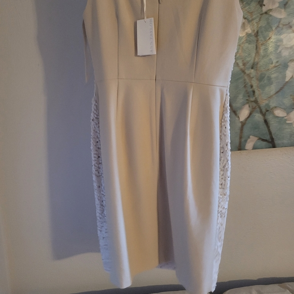 Ann Taylor size 8 beautiful dress - Picture 5 of 8